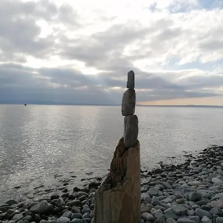 Apartment Magnolie In Langenargen