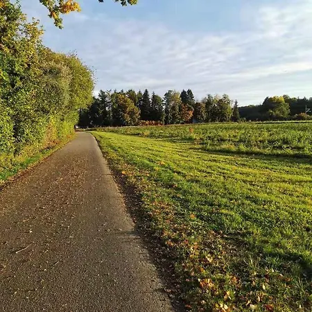 Magnolie In Langenargen