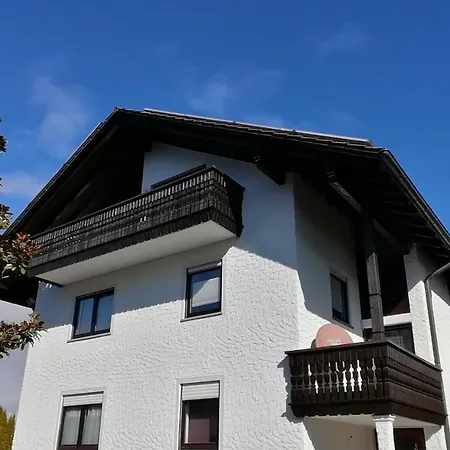 Magnolie In Langenargen