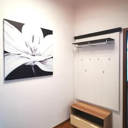 Magnolie In Langenargen