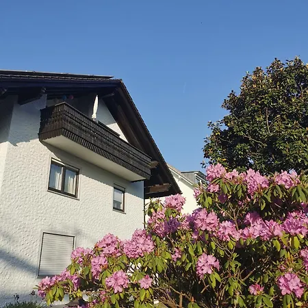 Magnolie In * Langenargen